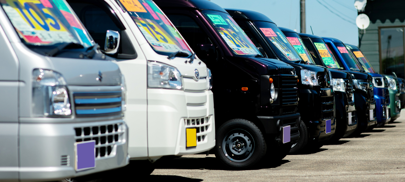 新車・中古車販売